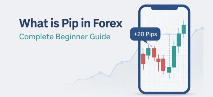 What is Pip in Forex