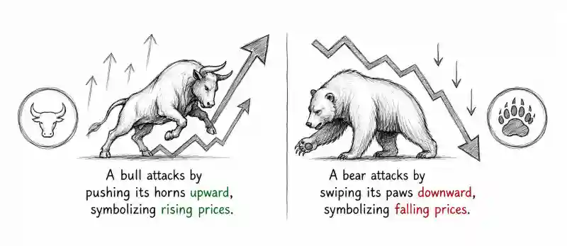 Why Are They Called Bull Market and Bear Market